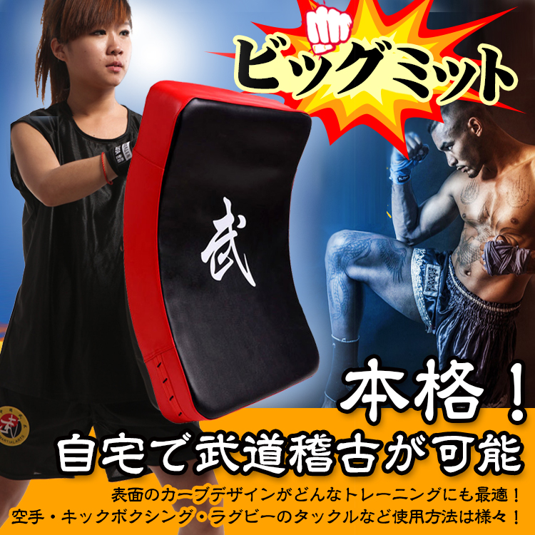 ビッグミット 打撃ミット 空手 キックボクシング 武道 総合格闘技 トレーニング ストレス解消 運動不足 初心者 上級者 de087