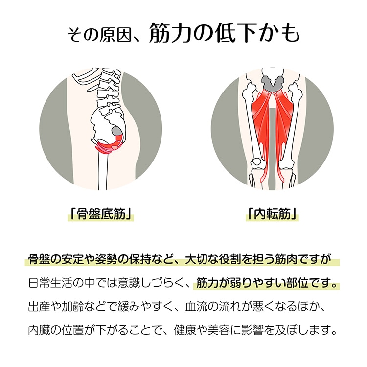 内転筋トレーニング ヒップトレーナー デジタルパネル 360度回転 强度4段階 産後エクササイズ ヒップアップ 美尻トレーニング 骨盤ケア 太もも 脚やせ 腕 背中 ダイエット器具 de148 - 画像 (2)